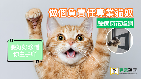 周不時都會有貓貓墮樓意外發生，做個負責任的奴才，當然要安裝窗網！